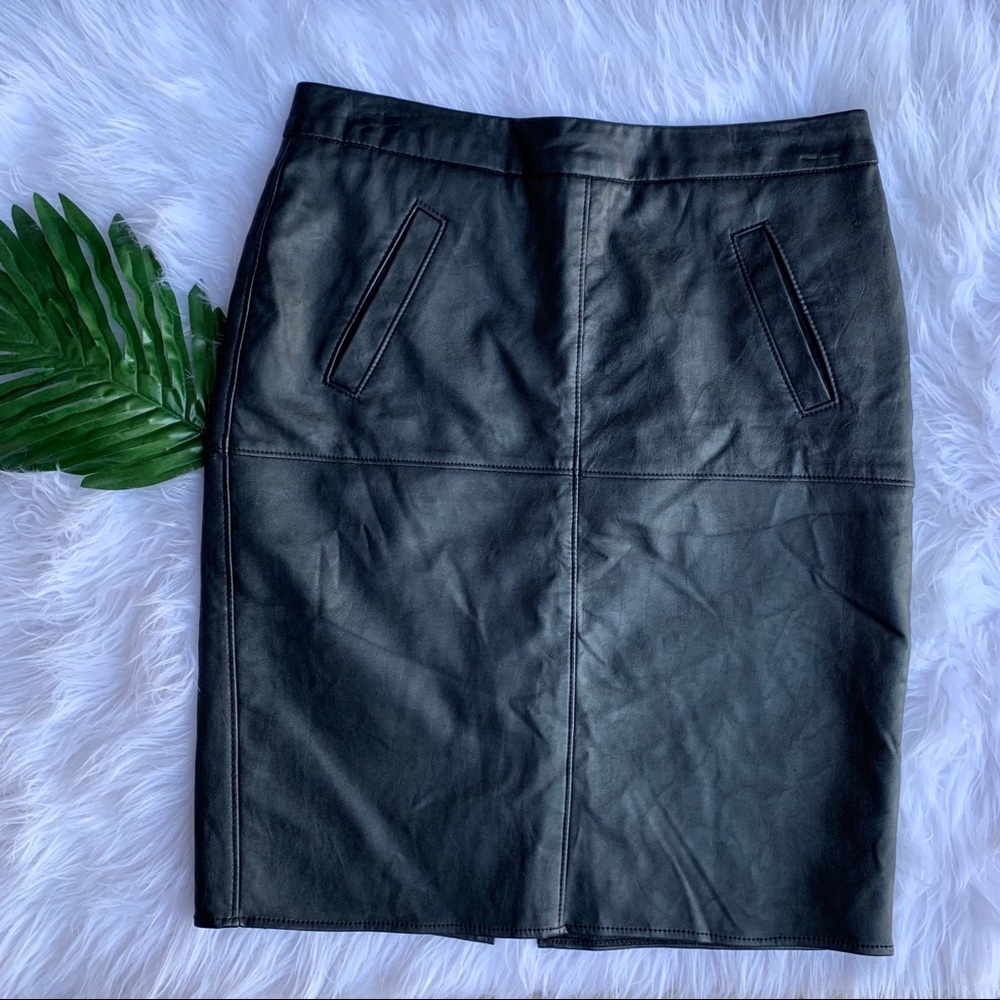 CAbi skirt